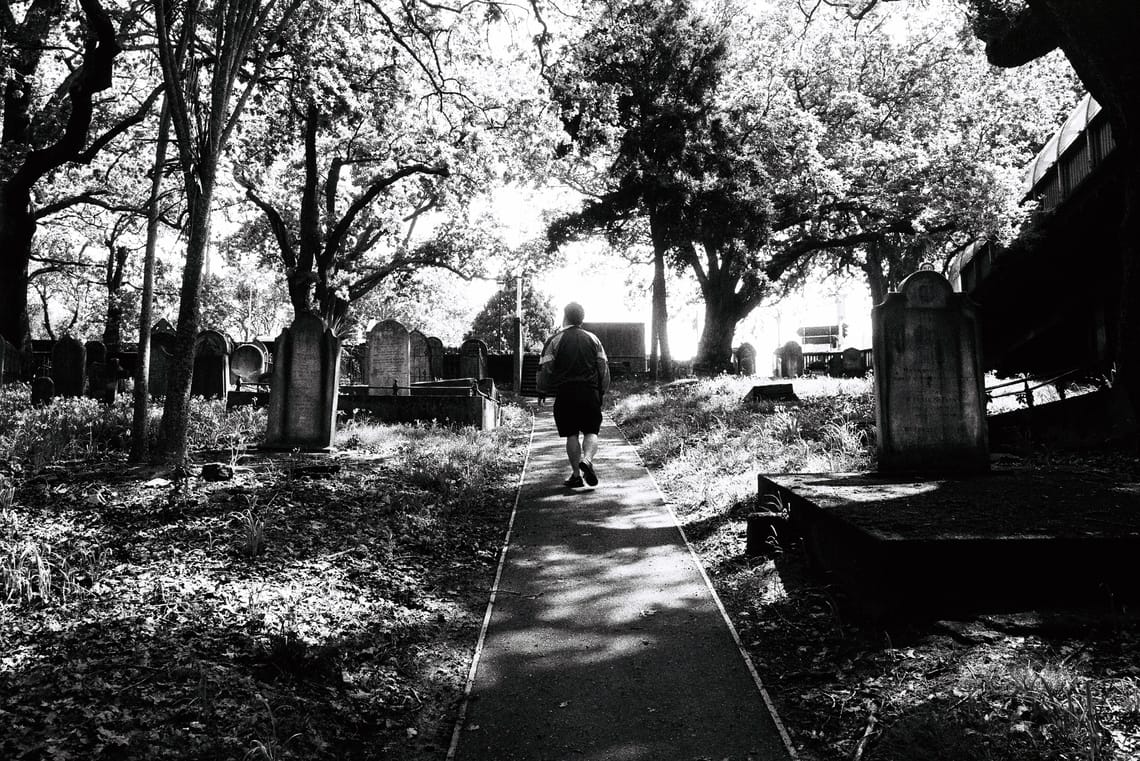 Wandering Among The Dead