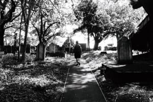 Wandering Among The Dead